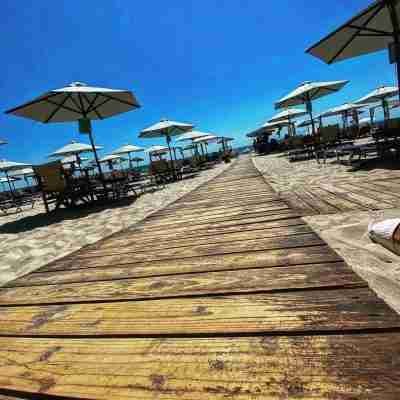 Beach bar for large groups in Fanari