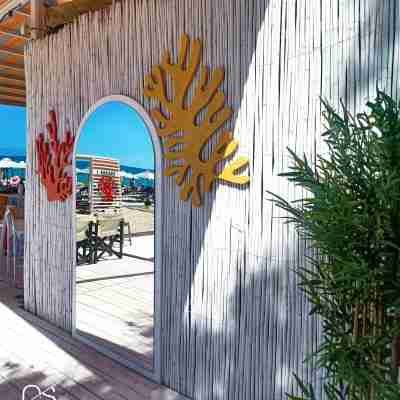 Instagrammable beach bar in Fanari Greece