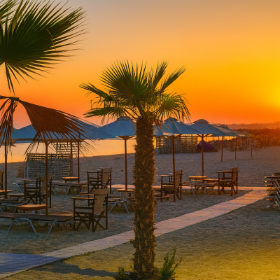 Palm trees on Arogi Beach at Nisos Beach Bar